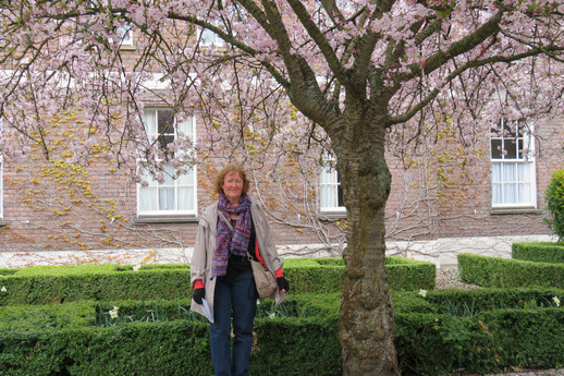 Cambridge - Chris among the cherry blossoms