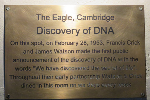 Cambridge - The Eagle - Watson and Crick - DNA