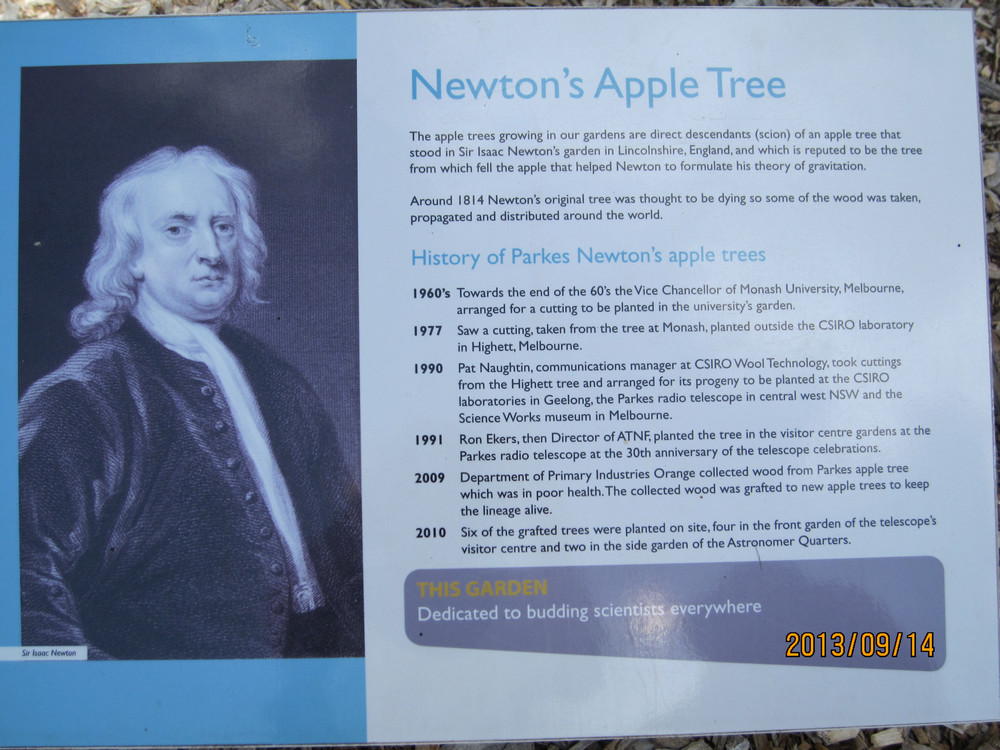 Issac Newton in Parkes