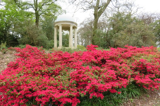 Mount Congreve Gardens (ii), Waterford