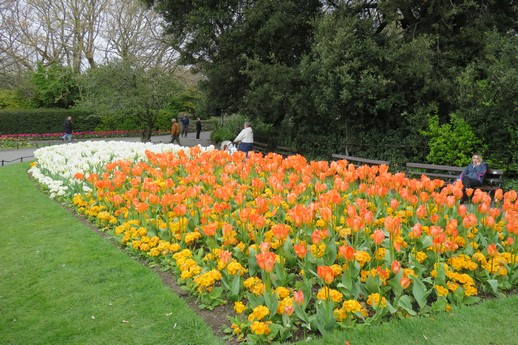 St. Stephen's Park, Dublin