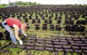 Drying peat