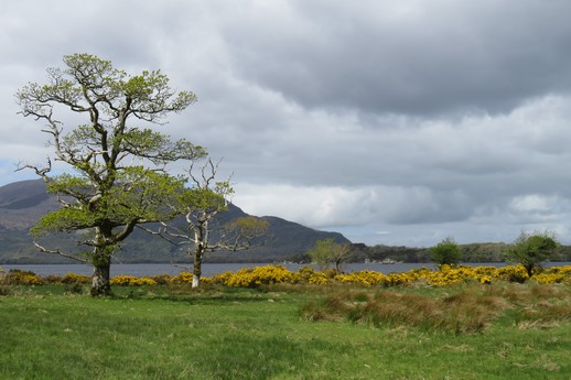 Killarney National Park (i)