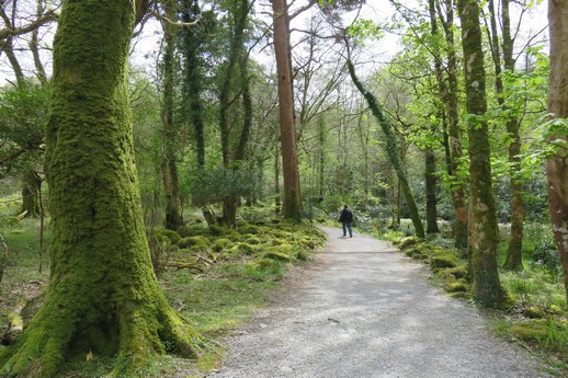 Muckross Estate