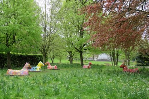 People's Park, Limerick (i)