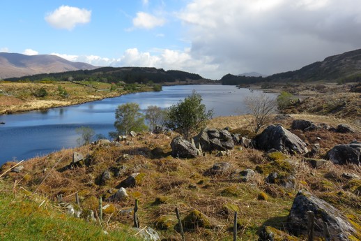 Ring of Kerry (i)