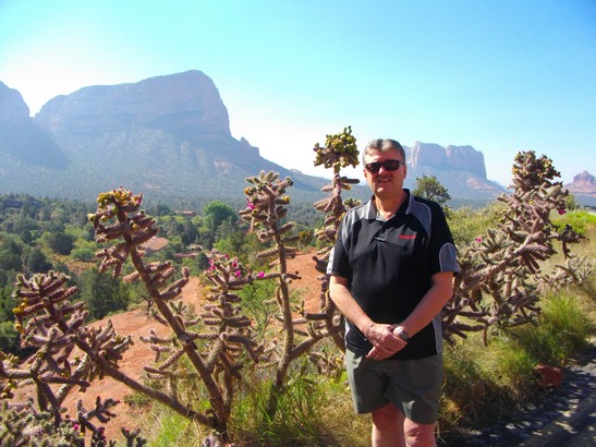 Colourful cactus, Sedona